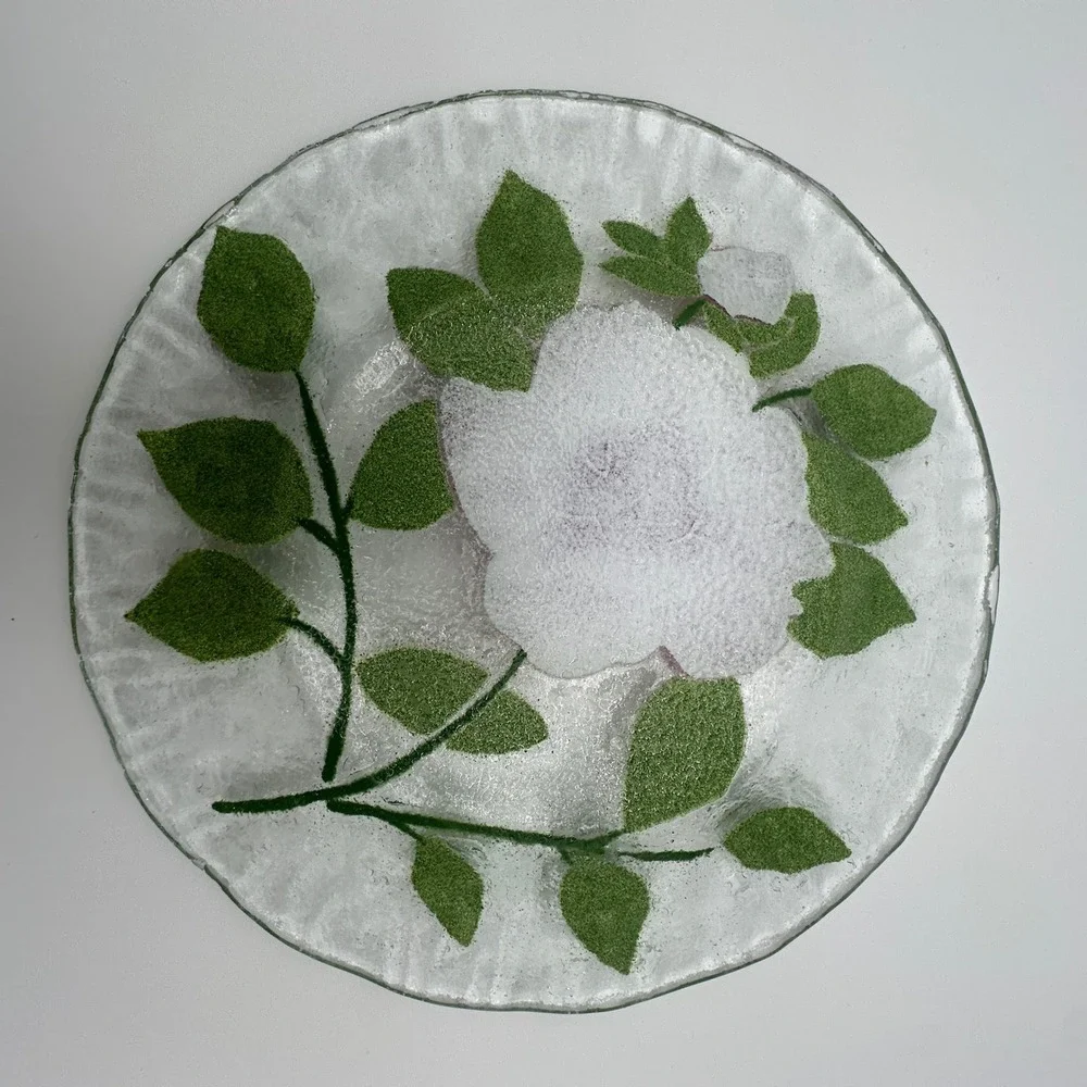 Sydenstricker glass plates